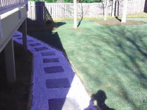 byard5doublewalkwaygrass2.jpg