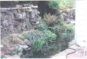 pondafter.jpg
